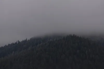 DSC_5868 (Large).JPG